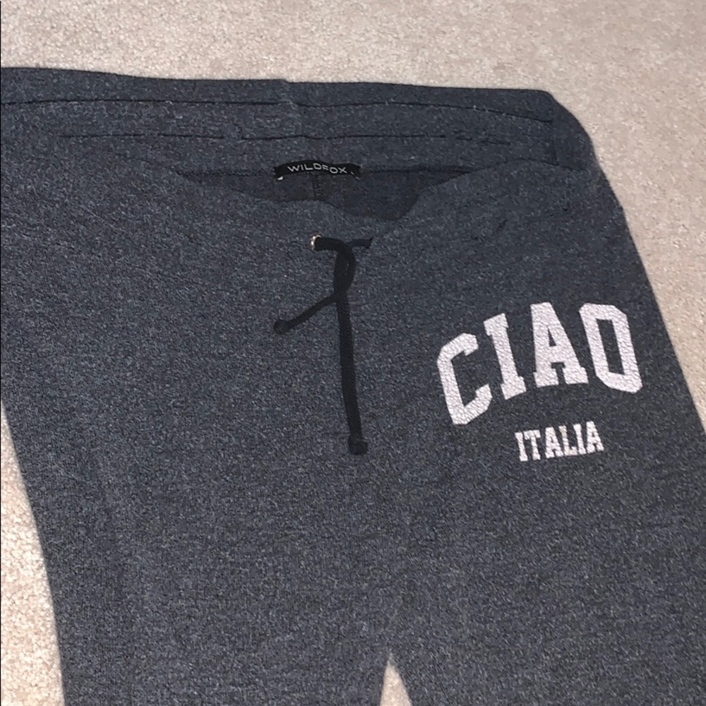 Wildfox /joggers FITS MED